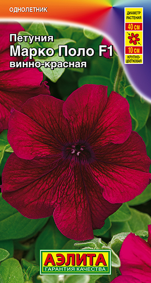 ������� ����� ���� F1 �����-�������