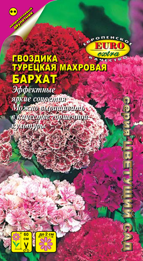 �������� �������� ������