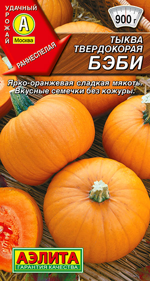 ����� ����������� ����