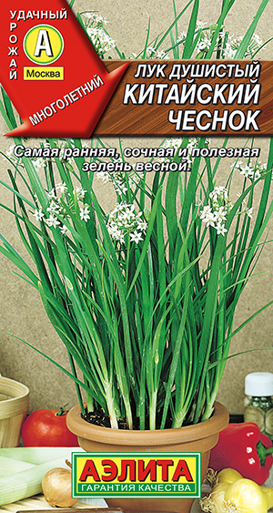 Лук душистый Китайский чеснок Лук душистый Китайский чеснок