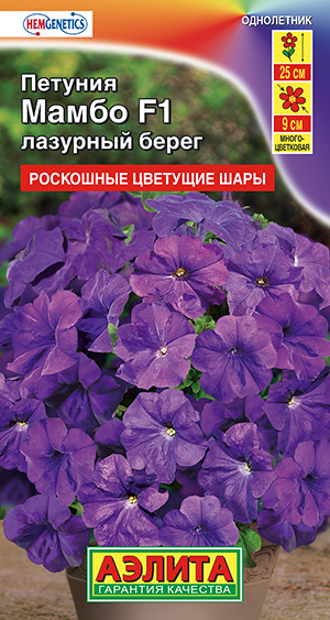 ������� ����� F1 �������� �����