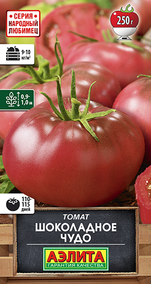 ����� ���������� ����