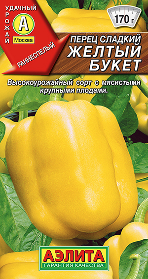 ����� ������� ������ �����