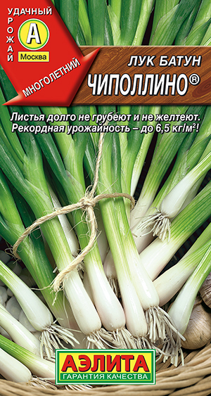 Лук батун Чиполлино ® Лук батун Чиполлино ®