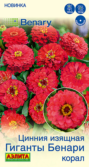 Цинния Гиганты Бенари корал Цинния Гиганты Бенари корал
