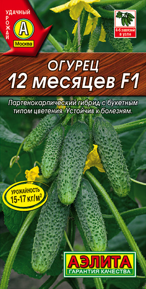 Огурец 12 месяцев F1 Огурец 12 месяцев F1