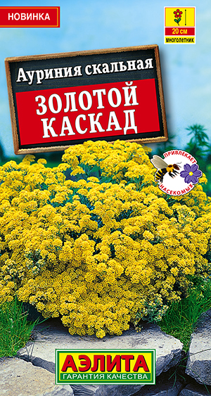 Ауриния скальная Золотой каскад Ауриния скальная Золотой каскад