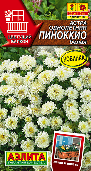 ����� �������� �����