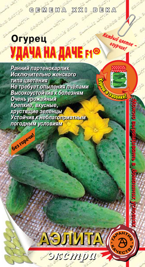 Огурец Удача на даче F1 Огурец Удача на даче F1