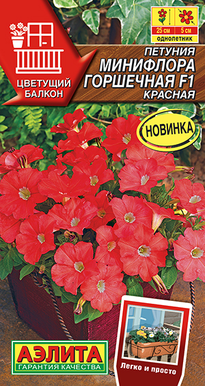 Петуния Минифлора горшечная F1 красная Петуния Минифлора горшечная F1 красная