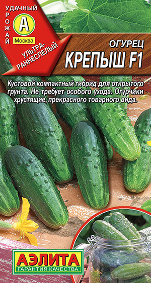 ������ ������ F1