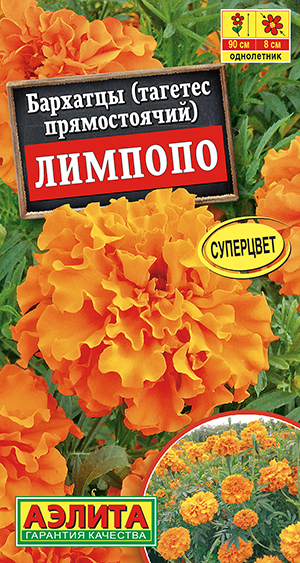 �������� ������� ������������