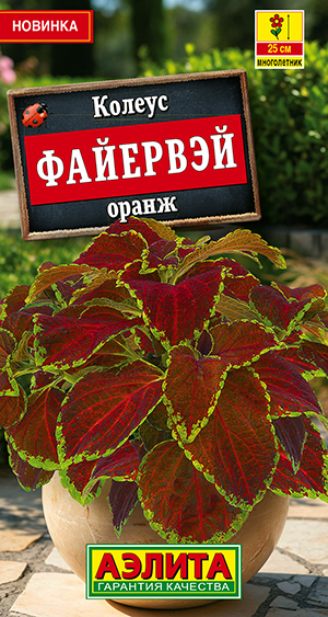 Колеус Файервэй оранж Колеус Файервэй оранж