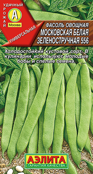 Фасоль овощная Московская белая зеленостручная 556 Фасоль овощная Московская белая зеленостручная 556