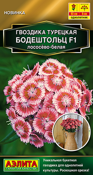 Гвоздика турецкая Бодештольц F1 лососёво-белая Гвоздика турецкая Бодештольц F1 лососёво-белая