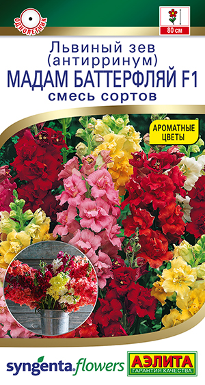 Львиный зев Мадам баттерфляй F1, смесь сортов Львиный зев Мадам баттерфляй F1, смесь сортов