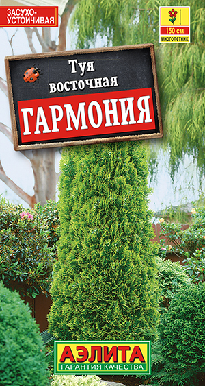 ��� ��������� ��������