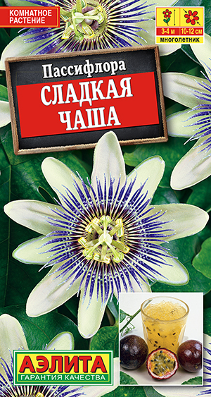 Пассифлора Сладкая чаша Пассифлора Сладкая чаша