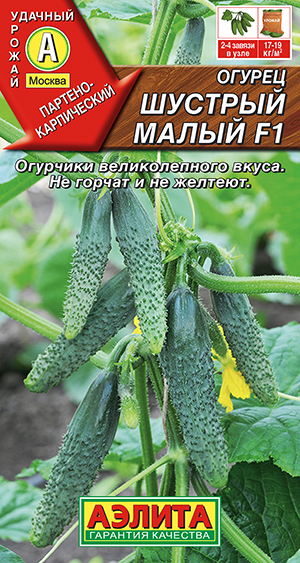 ������ ������� ����� F1