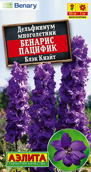 Дельфиниум Бенарис пацифик блэк кнайт