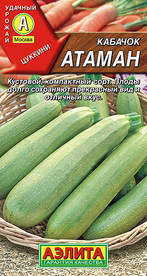 Кабачок цуккини Атаман Кабачок цуккини Атаман