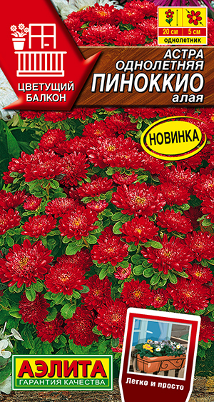 ����� �������� ����