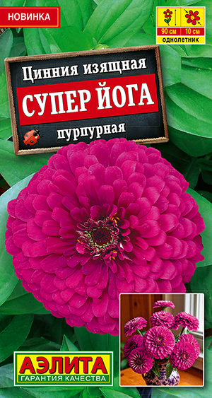 Цинния Супер йога пурпурная Цинния Супер йога пурпурная
