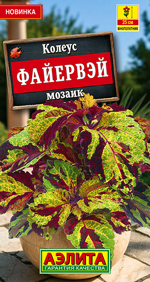 Колеус Файервэй мозаик Колеус Файервэй мозаик