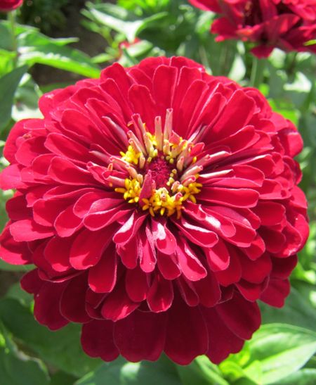 ������ ������� ����� ���� ��������������