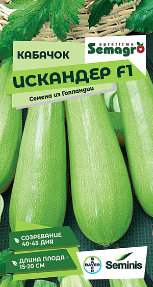 Кабачок Искандер F1 Кабачок Искандер F1