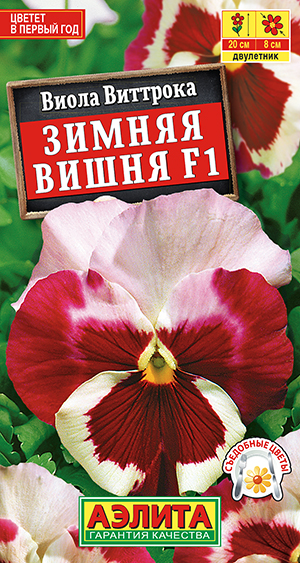 Виола Зимняя вишня F1 Виола Зимняя вишня F1