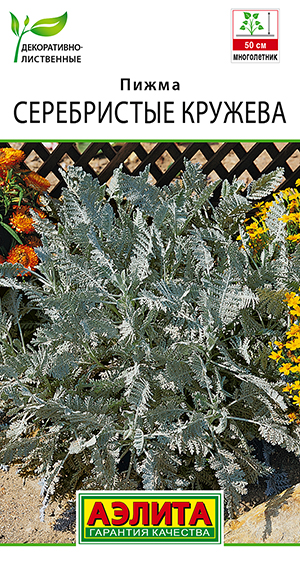 ����� ����������� �������