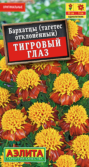 �������� �������� ���� �����������