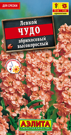 Левкой высокорослый Чудо абрикосовый Левкой высокорослый Чудо абрикосовый