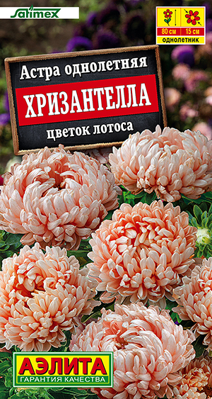 ����� ����������� ������ ������