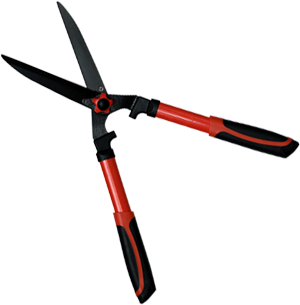 �������� 10", ������ ������ � ��������, ��������� ������������ �����