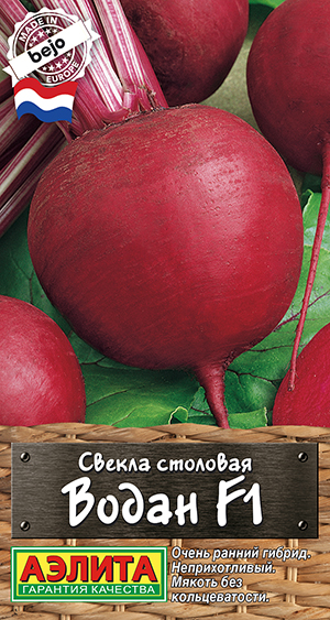 Свекла столовая Водан F1 Свекла столовая Водан F1