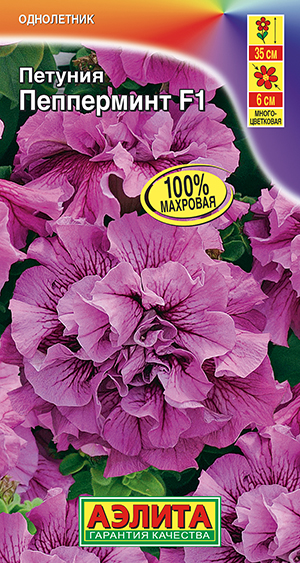 Петуния Пепперминт F1 многоцветковая махровая Петуния Пепперминт F1 многоцветковая махровая