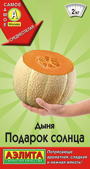 Дыня Подарок солнца Дыня Подарок солнца