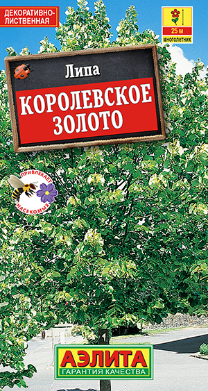 Липа пушистая Королевское золото Липа пушистая Королевское золото