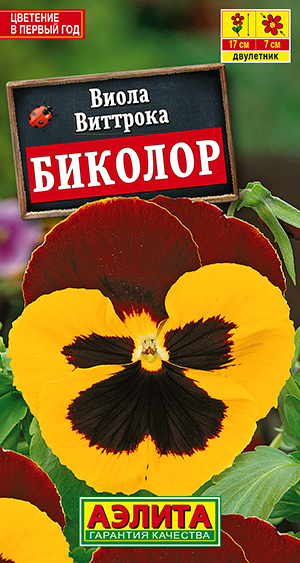 Виола Биколор Виола Биколор