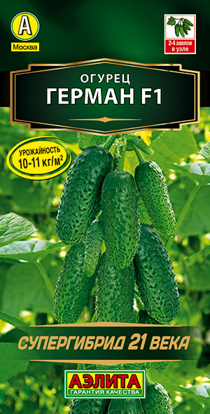 ������ ������ F1