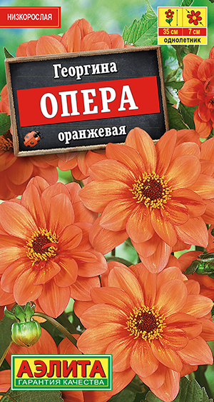 Георгина Опера оранжевая Георгина Опера оранжевая