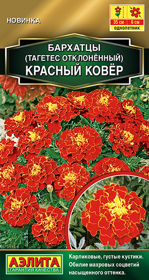 �������� ������� ����� �����������