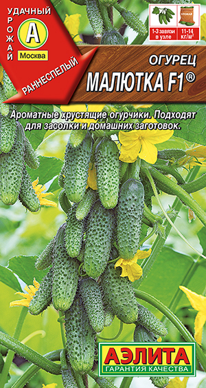 ������ ������� F1 �