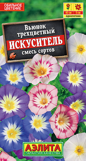 Вьюнок Искуситель, смесь сортов Вьюнок Искуситель, смесь сортов