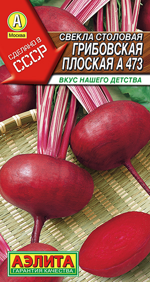 Свекла столовая Грибовская плоская А 473 Свекла столовая Грибовская плоская А 473