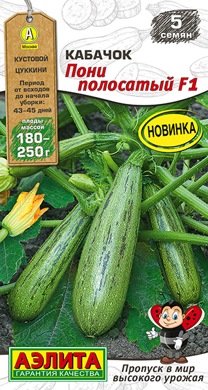 Кабачок цуккини Пони полосатый F1 Кабачок цуккини Пони полосатый F1
