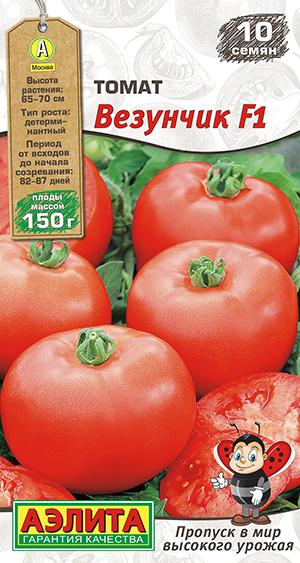 ����� �������� F1