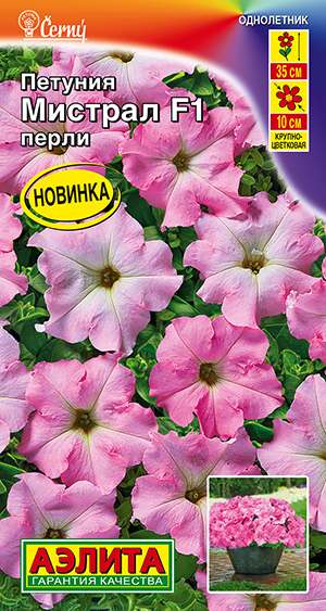 Петуния Мистрал F1 перли крупноцветковая Петуния Мистрал F1 перли крупноцветковая